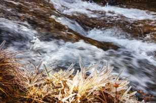 Ice on grass-1427 Ice on grass-1427